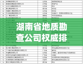 湖南省地质勘查公司权威排名榜及影响力深度解析
