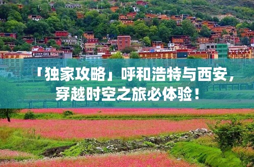 惨淡经营