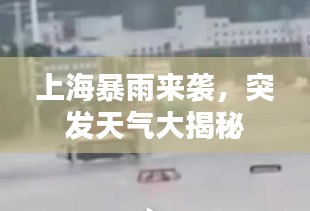 上海暴雨来袭，突发天气大揭秘