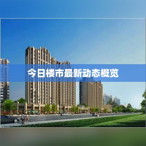 今日楼市最新动态概览