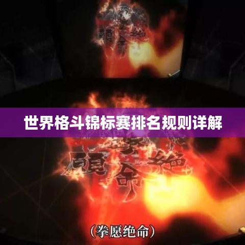 世界格斗锦标赛排名规则详解