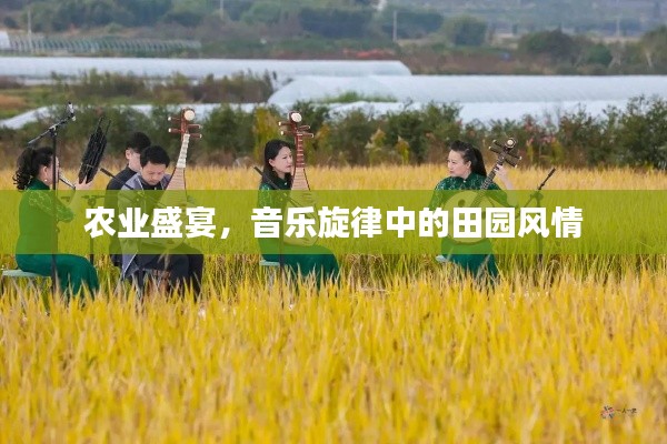 农业盛宴，音乐旋律中的田园风情