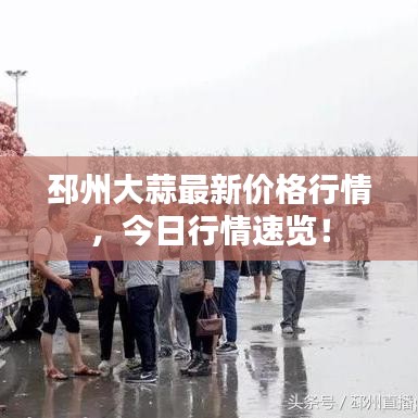 邳州大蒜最新价格行情，今日行情速览！
