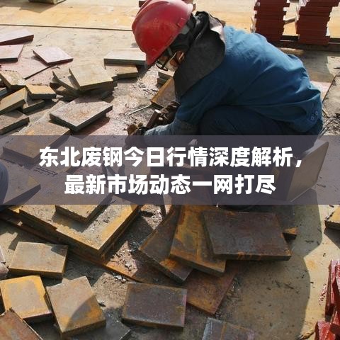 东北废钢今日行情深度解析，最新市场动态一网打尽
