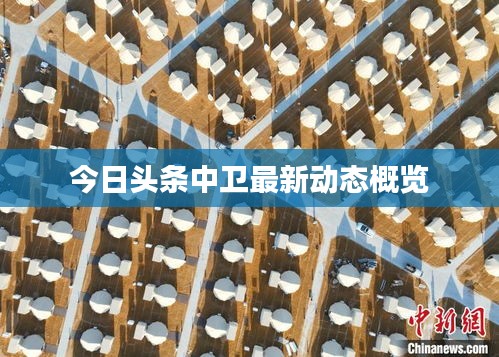 今日头条中卫最新动态概览