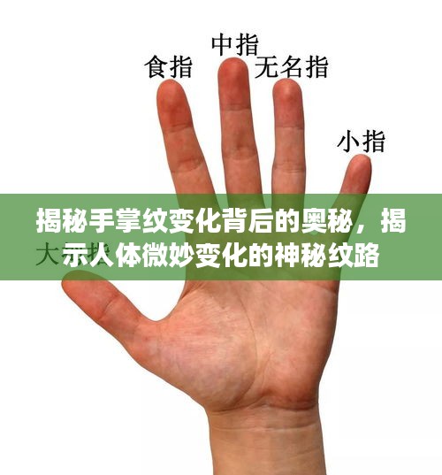 2025年5月19日