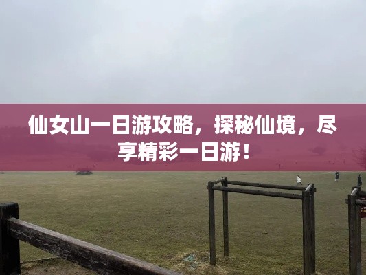 仙女山一日游攻略，探秘仙境，尽享精彩一日游！