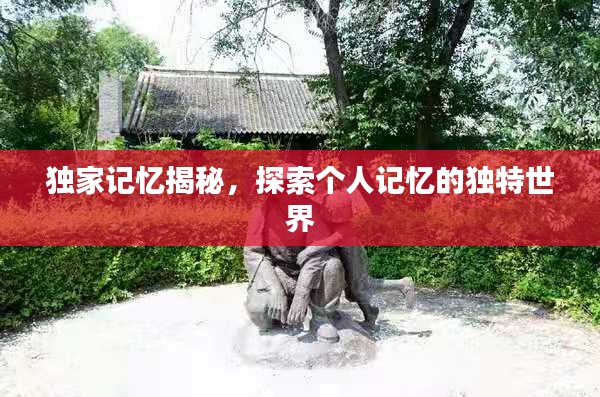 独家记忆揭秘，探索个人记忆的独特世界