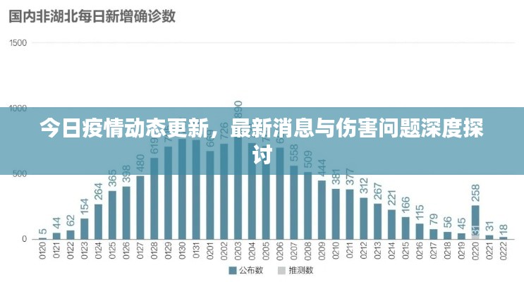 今日疫情动态更新,最新消息与伤害问题深度探讨